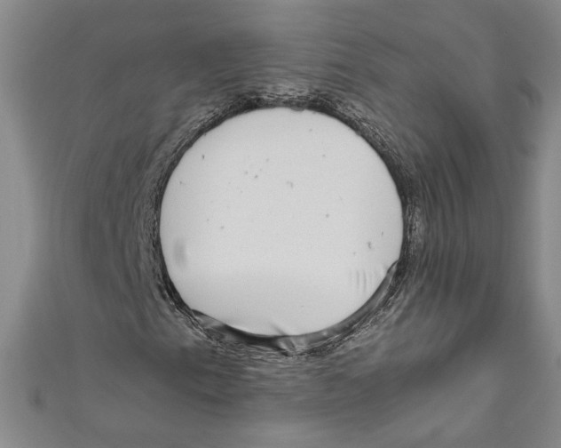 X0000110951153200907171622