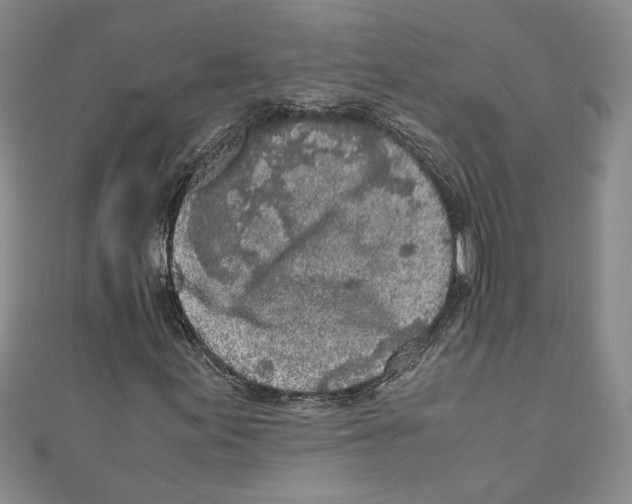 X0000110951155200907171622