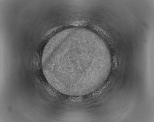 X0000110951158200907171622