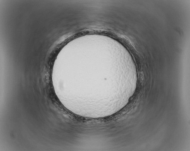 X0000110951159200907171622