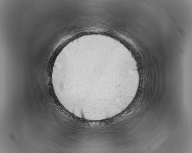 X0000110951160200907171622