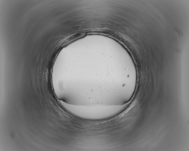 X0000110951161200907171622