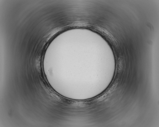X0000110951162200907171622