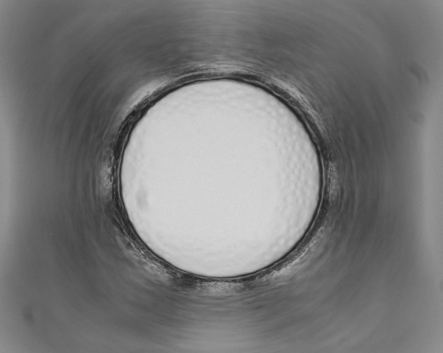 X0000110951163200907171622