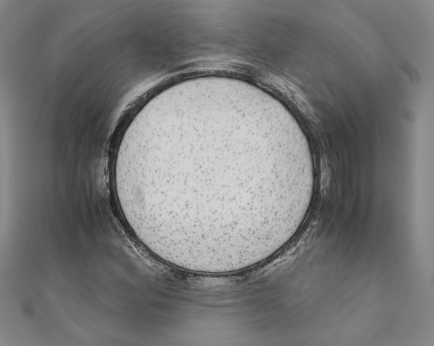 X0000110951164200907171622