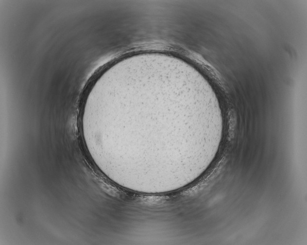 X0000110951166200907171622