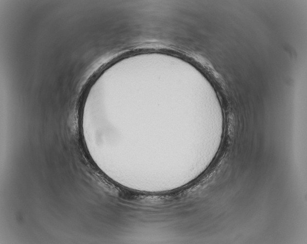 X0000110951167200907171622