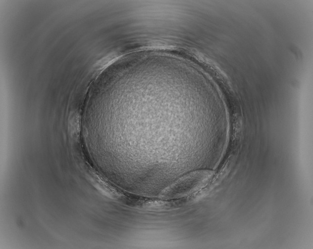 X0000110951169200907171622