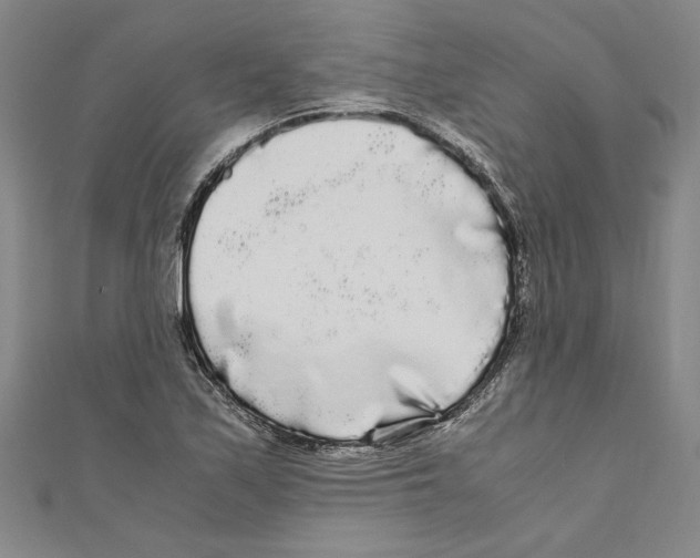 X0000110951171200907171622