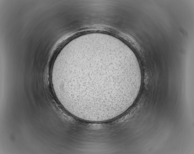 X0000110951172200907171622