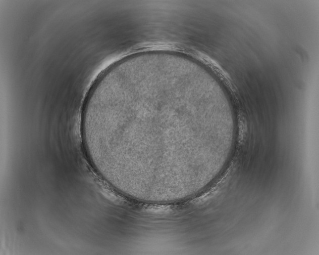 X0000110951174200907171622