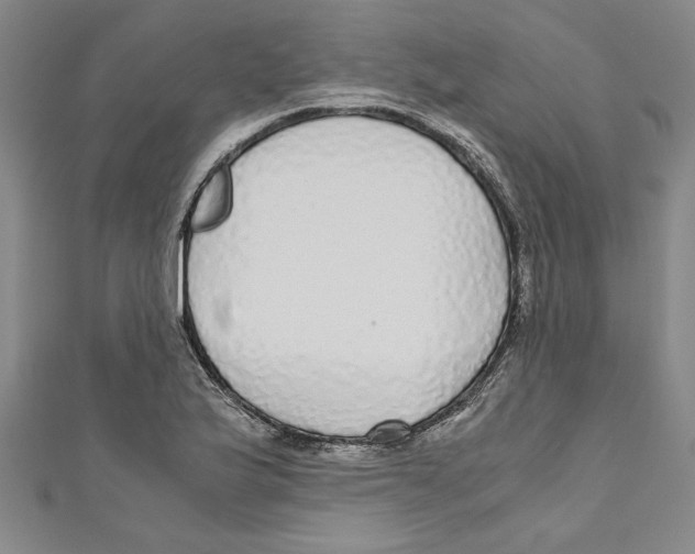 X0000110951175200907171622