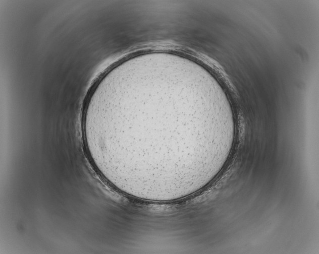 X0000110951176200907171622