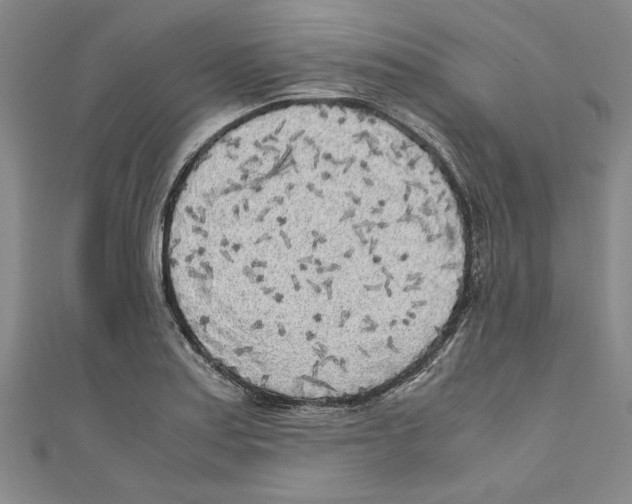 X0000110951179200907171622