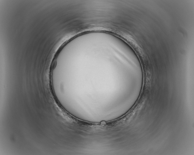 X0000110951181200907171622