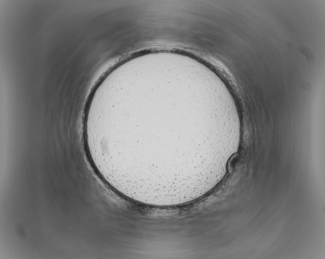 X0000110951183200907171622