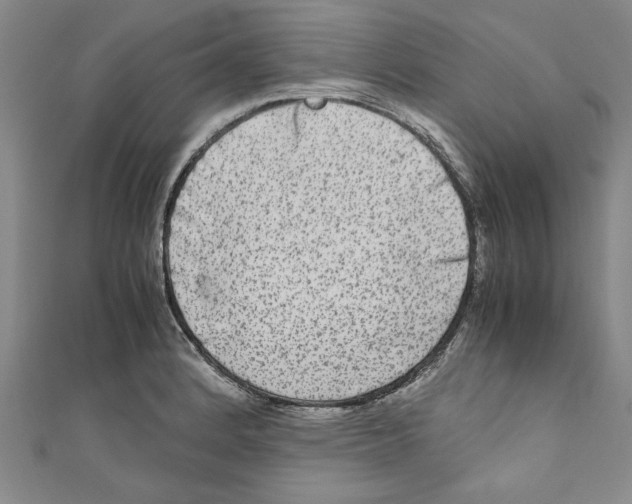 X0000110951184200907171622