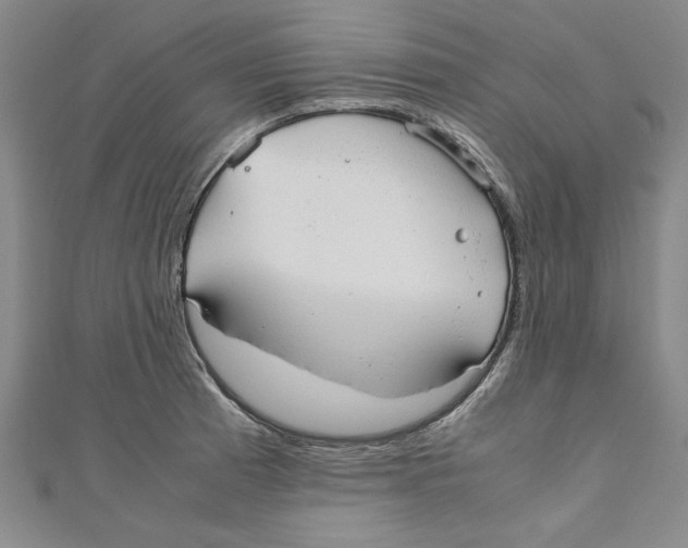 X0000110951185200907171622