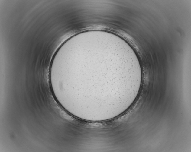 X0000110951186200907171622