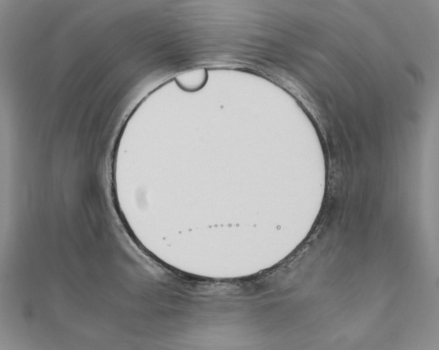 X0000110951187200907171622