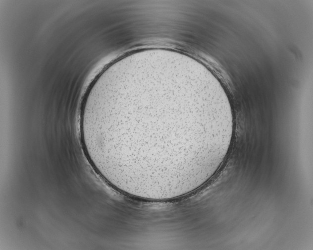 X0000110951188200907171622