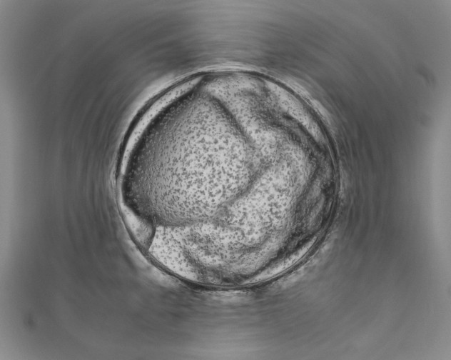 X0000110951189200907171622