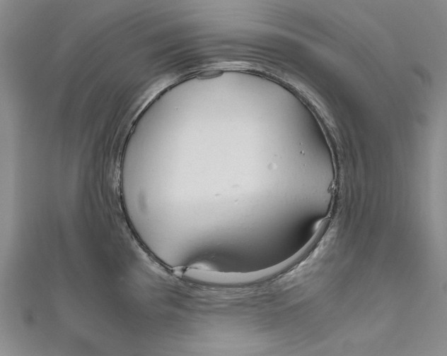 X0000110951193200907171622