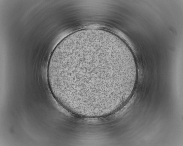 X0000110951194200907171622