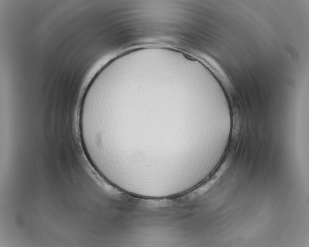 X0000110951196200907171622