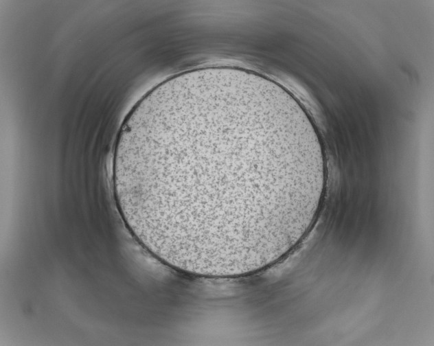 X0000110951198200907171622