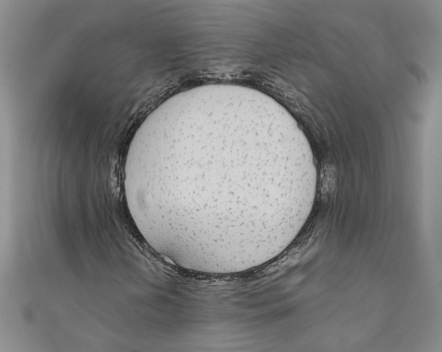 X0000110951202200907171621