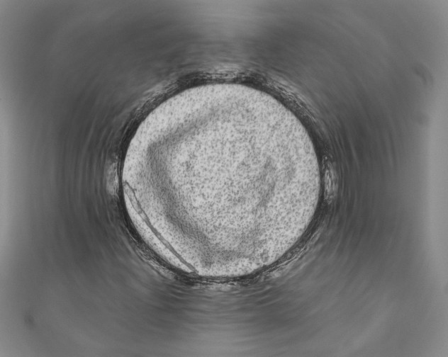 X0000110951204200907171621