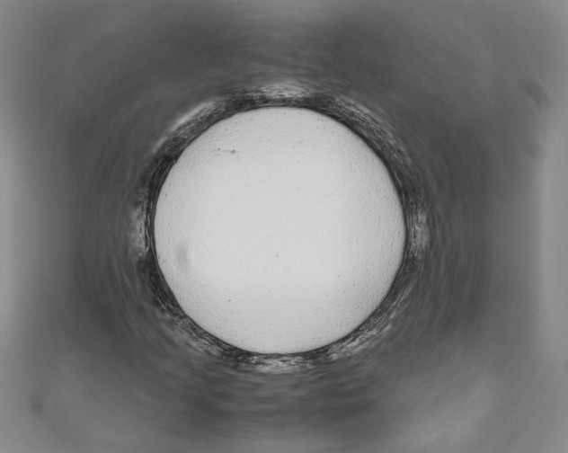 X0000110951205200907171621
