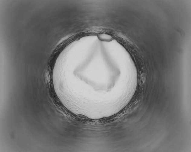 X0000110951206200907171621