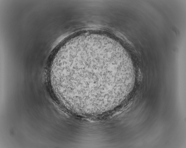 X0000110951208200907171621