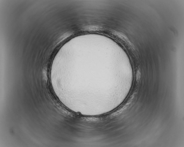 X0000110951209200907171621