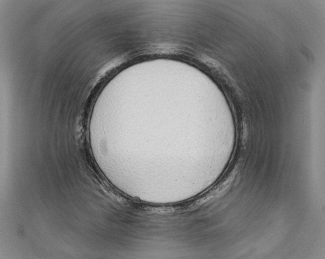 X0000110951210200907171621