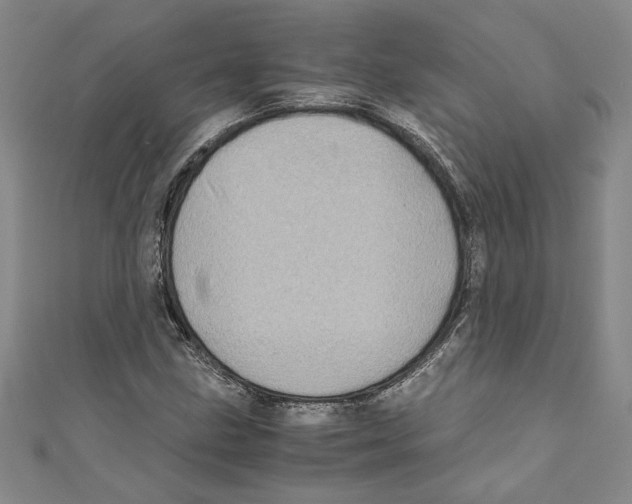X0000110951211200907171621
