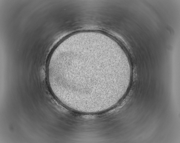 X0000110951212200907171621