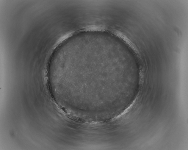X0000110951213200907171621