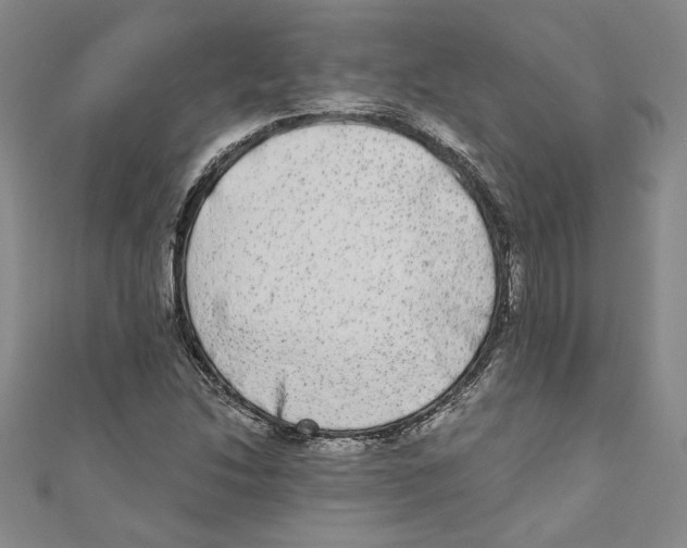 X0000110951214200907171621