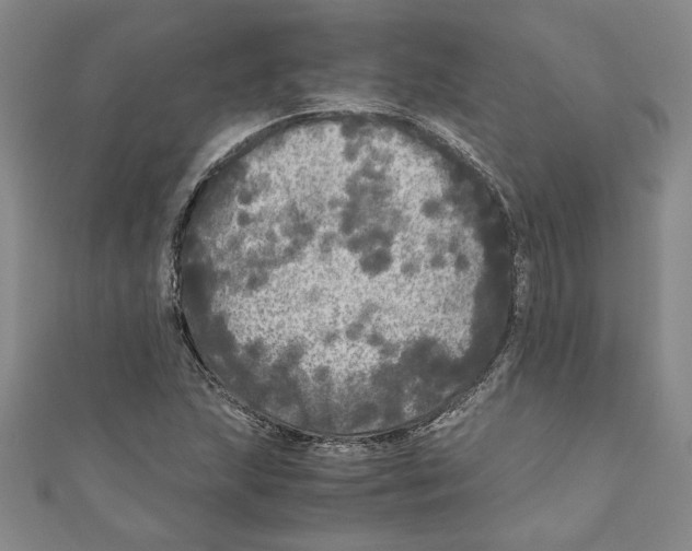 X0000110951215200907171621