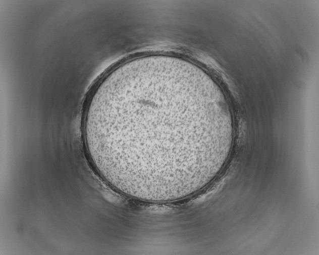 X0000110951216200907171621