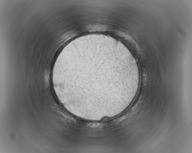 X0000110951217200907171621