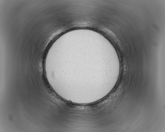 X0000110951218200907171621