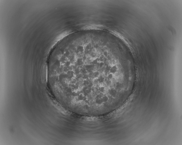 X0000110951219200907171621