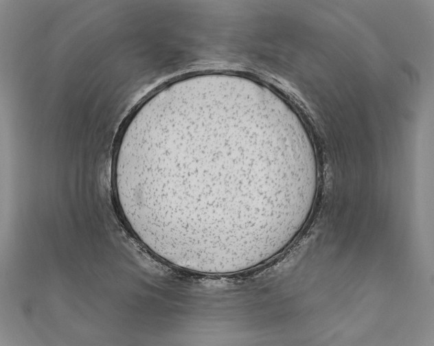 X0000110951220200907171621