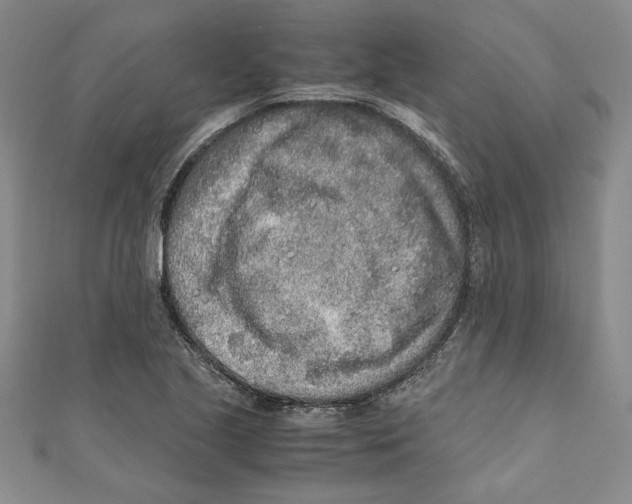 X0000110951221200907171621