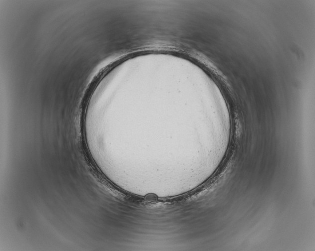 X0000110951222200907171621