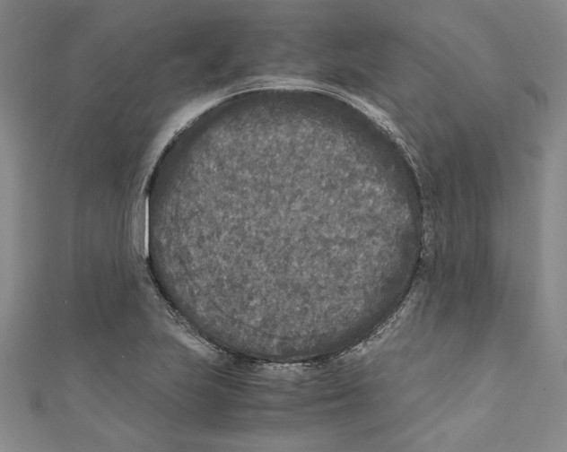 X0000110951223200907171621